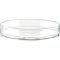 Replacement Glass Lid for Balance Tea Mugs