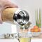The Naturalist All-Purpose Beverage Bamboo Thermos Tea Infuser