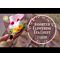 Teabloom Blooming Tea ???????? Assorted Flowering Tea Chest
