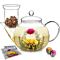 Celebration Modern Teapot & Loose Tea Glass Infuser (27 oz)