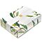 Radiant Greens Organic Assorted Teas Presentation Box