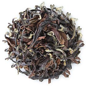White Tip Oolong
