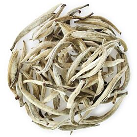 White Silver Needle