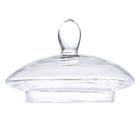 Replacement Glass Teapot Lid for Prague Teapot