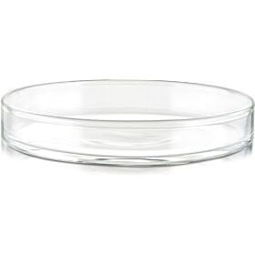 Replacement Glass Lid for Balance Tea Mugs