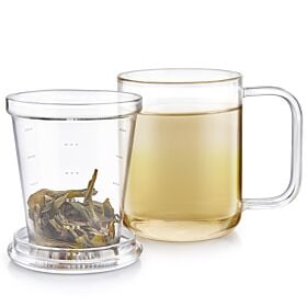 Vitality Loose Tea Microdot Glass Cup With a Lid