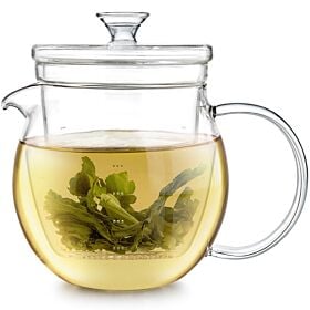 Gardenia Glass Teapot With Microdots Loose Tea Infuser