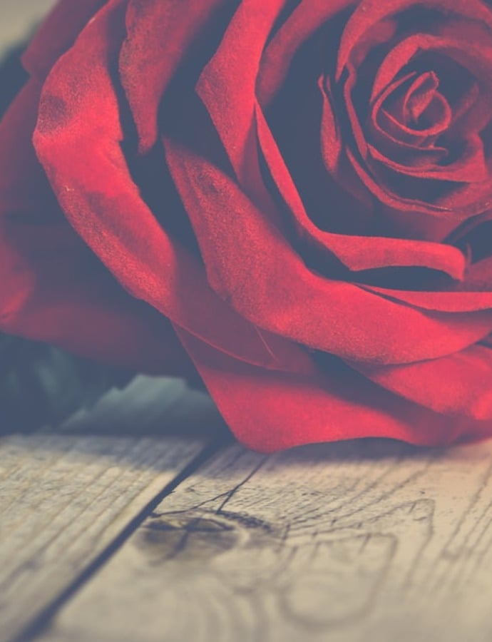 Mother's Day Presents Under $60