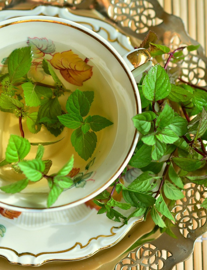 The Best Proven Ways to Use Tea for Digestion