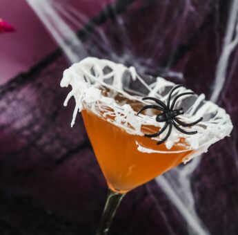 Cobweb Rim Apple Spice Gin &amp; Tonic