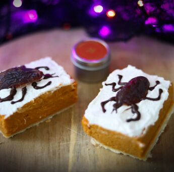Pumpkin Spice Bug Treat