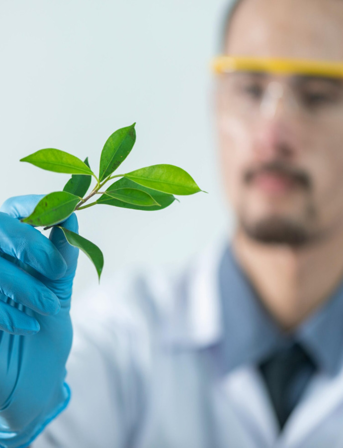 The Fascinating Future of Tea on the Moon