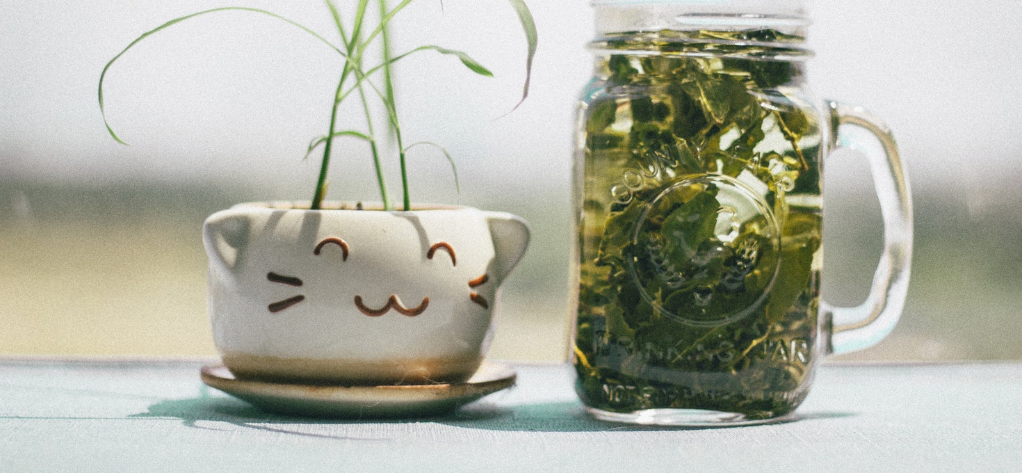healthy herbal teas