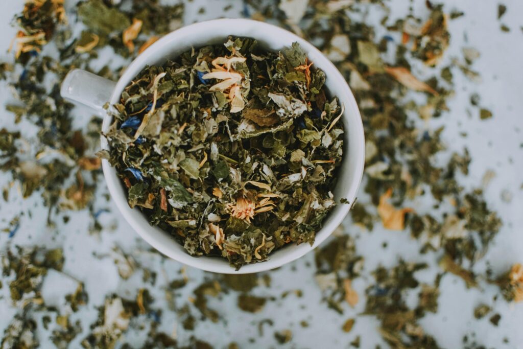 Tea and herbs in a cup and the health benefits of tea