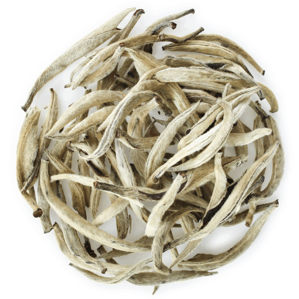 White Silver Needle is one of the rarest loose-leaf white teas.